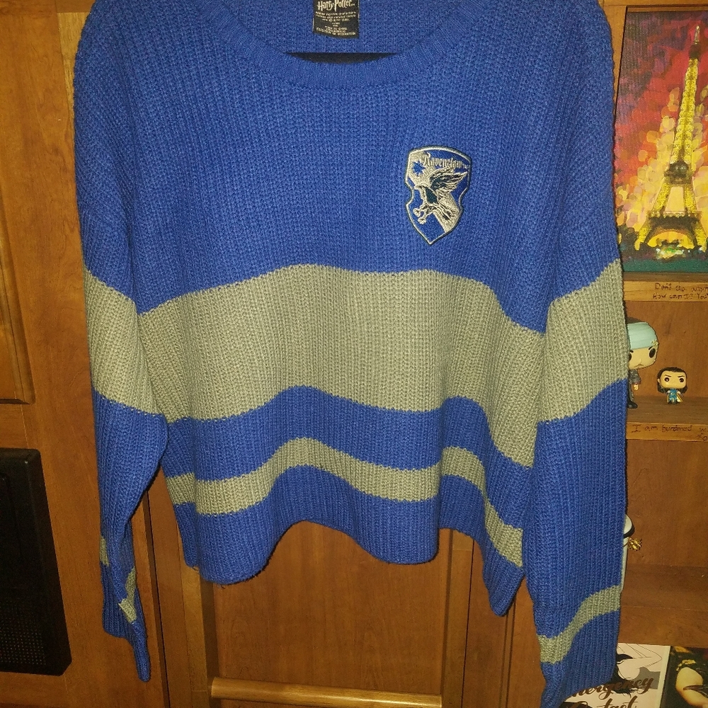 Ravenclaw quidditch sweater